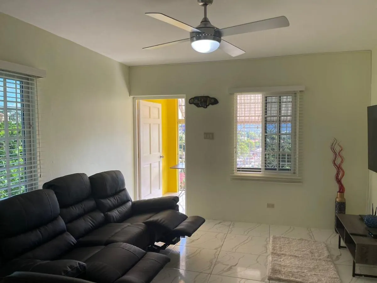 Three Palm Villa Montego Bay Guest house