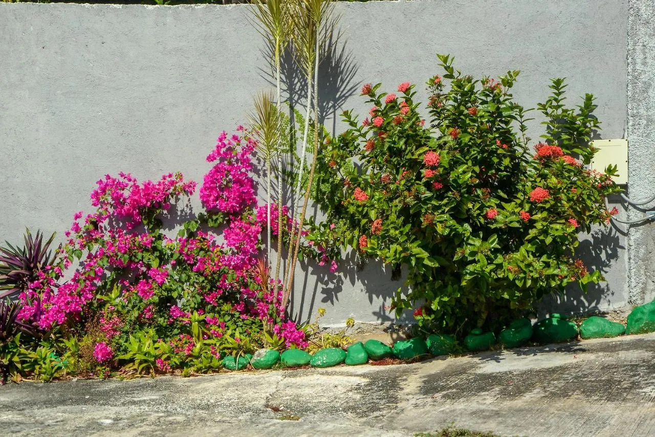 Guest house Three Palm Villa Montego Bay Jamaica