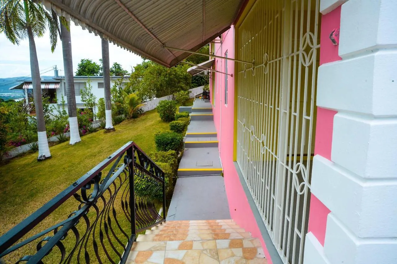 Three Palm Villa مونتيغو باي